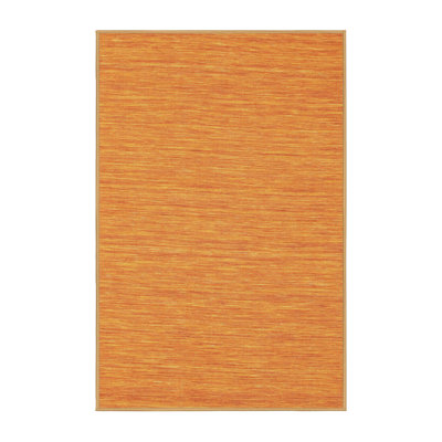 Indoor Rug