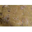 Floral Area Rug in Tan