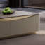 Light luxury rectangular solid wood coffee table-2070704001