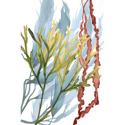 " Seaweed Flow II " by Grace Popp Painting Print