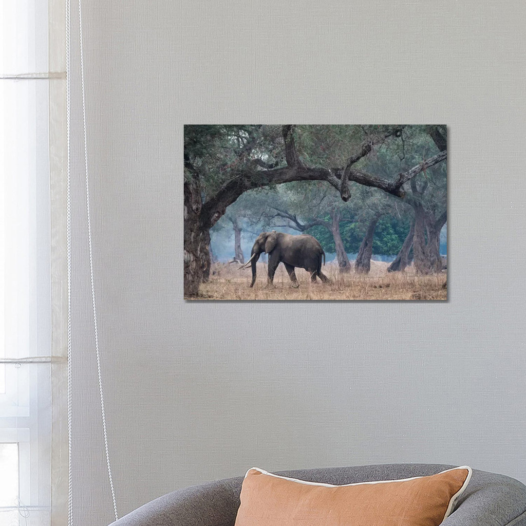 Africa, Zimbabwe, Mana Pools National Park by Jaynes Gallery - Wrapped Canvas Print