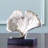Feuille de ginkgo-20578504
