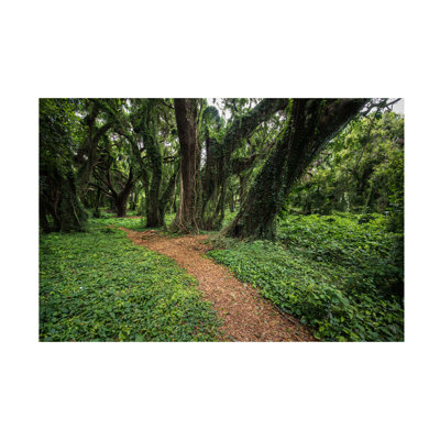 Wrapped Canvas Wall Art - Jon Evan 'Trail of Trees' Wall Art for Living Room, Bedroom, or Office Décor  - 12x19