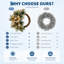 Demi-couronne de Noël 24 po avec 20 lumières DEL, 8 modes d'éclairage et minuterie, branches de pin en PVC, couronne artificielle à fond plat pour la porte d'entrée, la fenêtre, le foyer et le manteau de cheminée