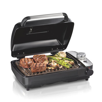 Hamilton Beach® Indoor Searing Grill With Hot/cold Smoke Infuser