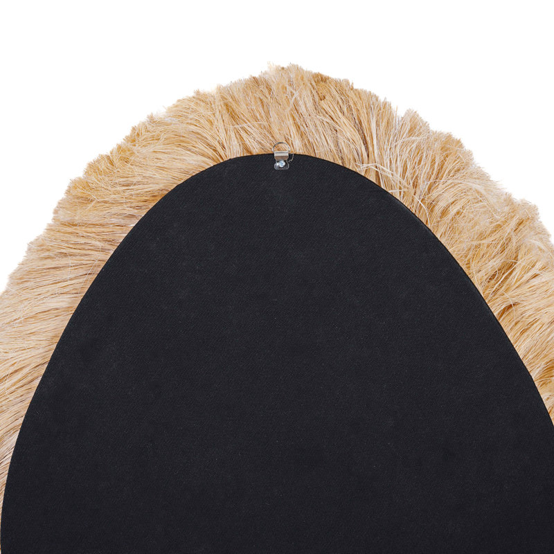 Ailani Shell Novelty Mirror