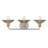 Rigby Three Light Bathroom Vanity Fixture-23178022