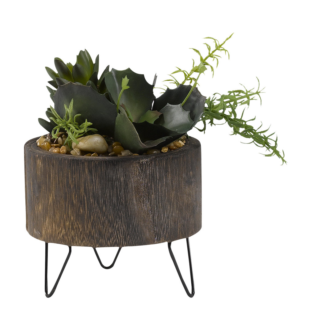 10'' Faux Succulent Plant in Solid Wood Planter Union Rustic