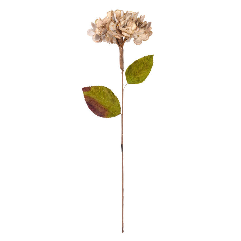 Hydrangea Arrangement, Champagne