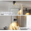 Spotlight