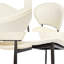 Chaise d'appoint (ensemble de 2)