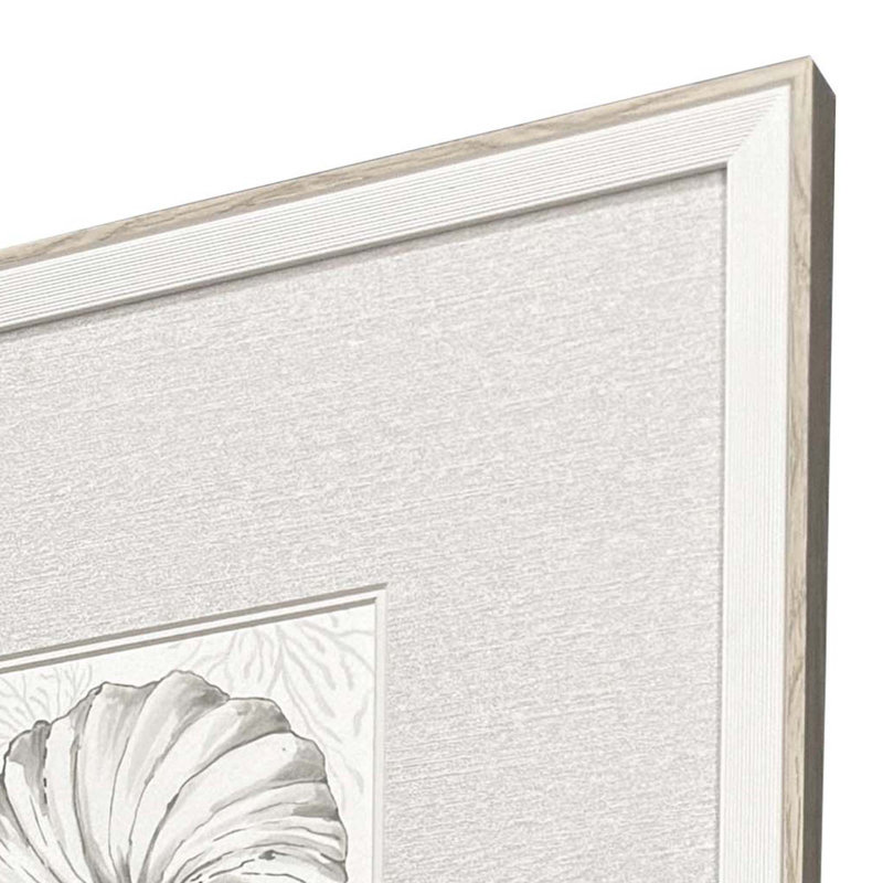 Coastal Reef Framed Art
