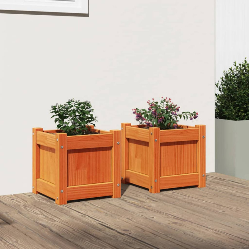 Ander Planter, Brown Pine, 2