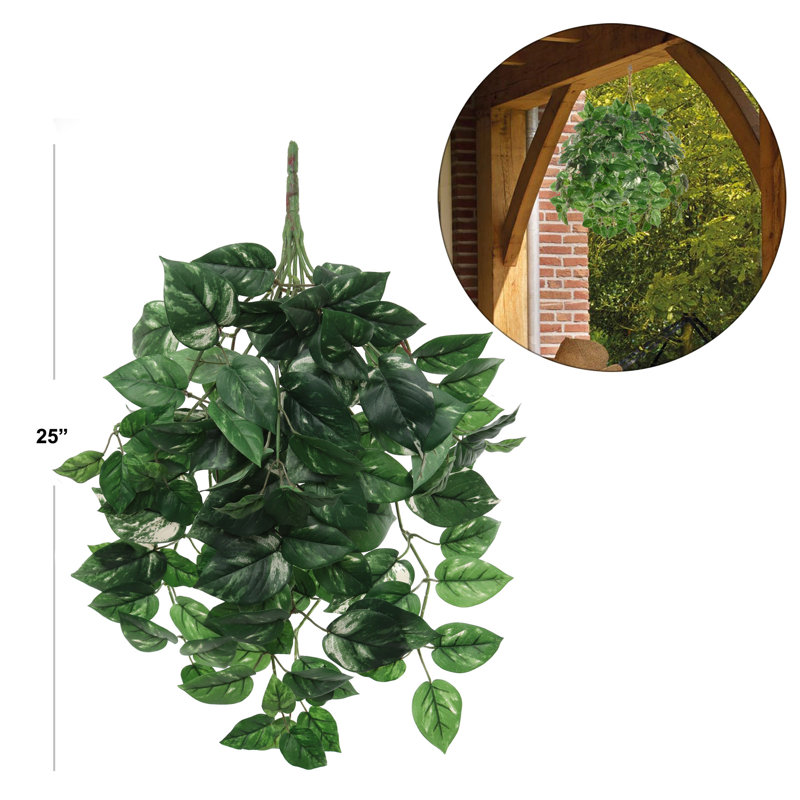 Pothos Ivy Bush avec 117 feuilles de soie - 23 po de long - paquet de 4