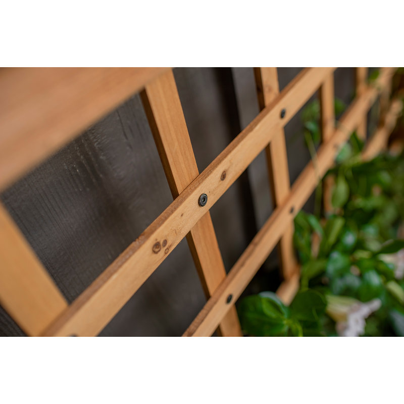 Golden Brown Cedar Wood Planter with Trellis