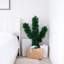4 pi Arbre de Noël artificiel cactus