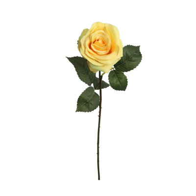 20" Open Rose Stem - 12 Pack