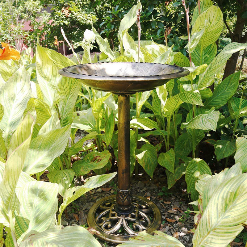 Outdoor Polyresin Antique Bird Bath with Solar Powered Round Pond Fountain, Copper