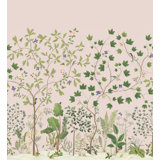 Sycamore and Oak Wallpaper