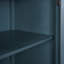 Armoire de rangement avec tablette réglable de 40 po Cabinets, conception de porte unique, utilisation dans plusieurs pièces | Contemporain | Bleu marine