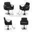 Fauteuil de coiffeur Professional
