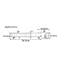 Ensemble de tables d'appoint Modern