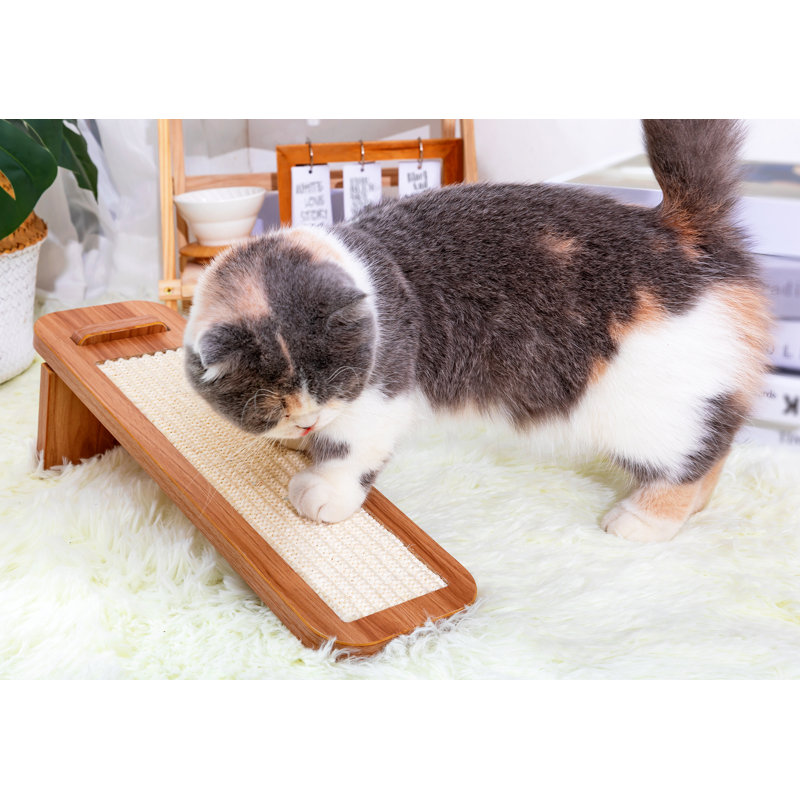 Grattoir 16 "PetPals