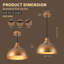 Luminaire suspendu Modern Century (ensemble de 2)-1593512051-1593512050