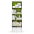 White/Green