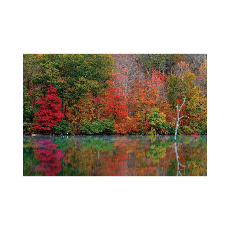 «Autumn Scene» par David Gardiner - reproduction de photo sur toile tendue, H 26 po x l 40 po x P 1,5 po