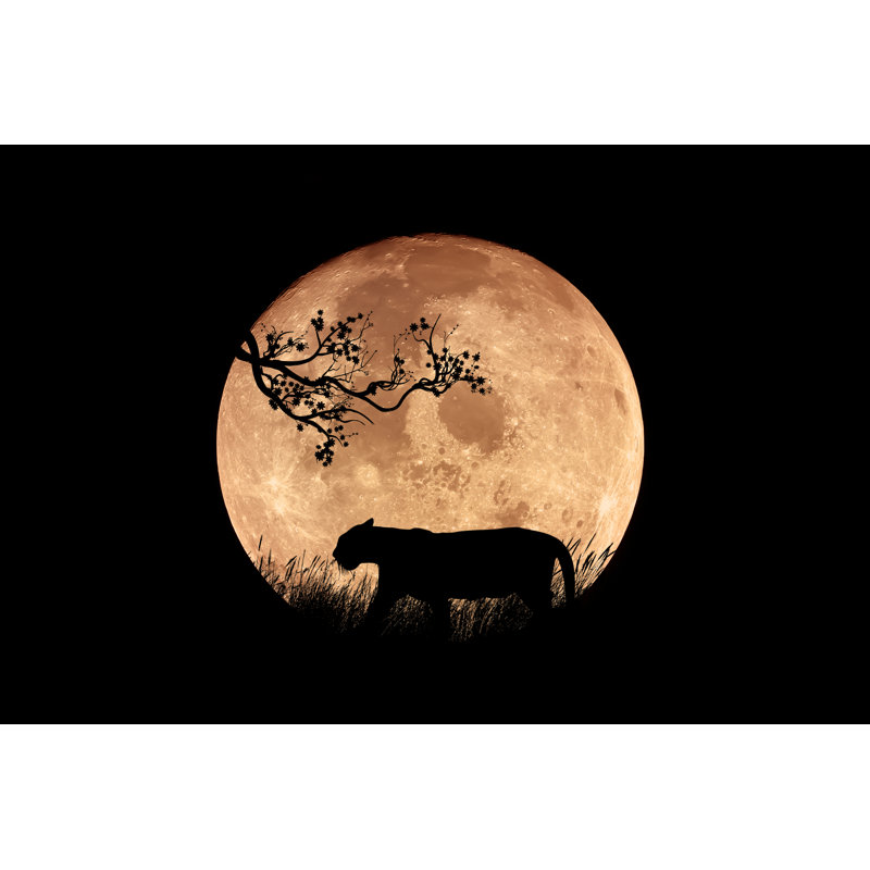 Night In Asia - Wrapped Canvas Print, 30cm H x 46cm W x 3.8cm D