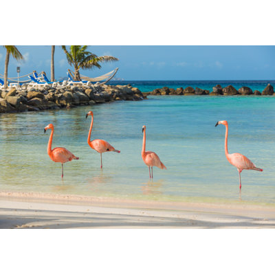 " Four Flamingos " by Sergey02