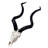 Real Kudu Skull, Medium Size