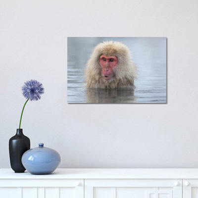" Snow Monkeys, Nagano, Japan " by Darrell Gulin