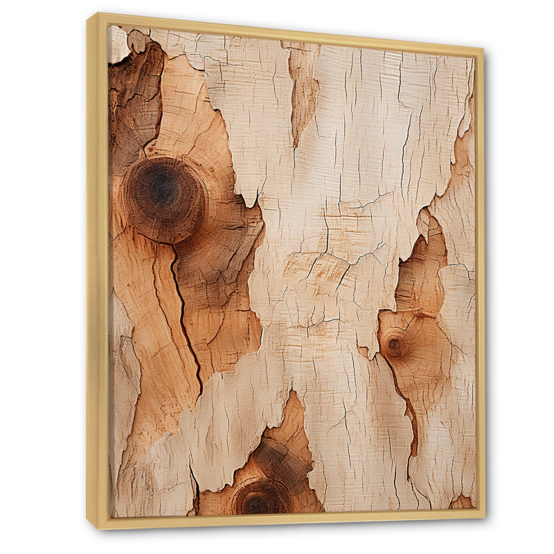 «Brown American Basswood Essence», art mural arbre, Cadre flottant brun, H 40 po x l 30 po x P 1,5 po