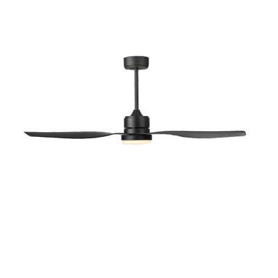 Ceiling Fan with LED Lights