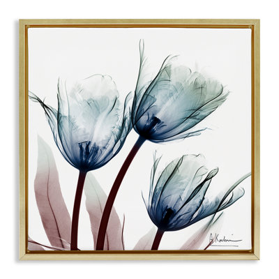 Cadre flottant avec ampoules translucides tulipes, design par Albert Koetsier