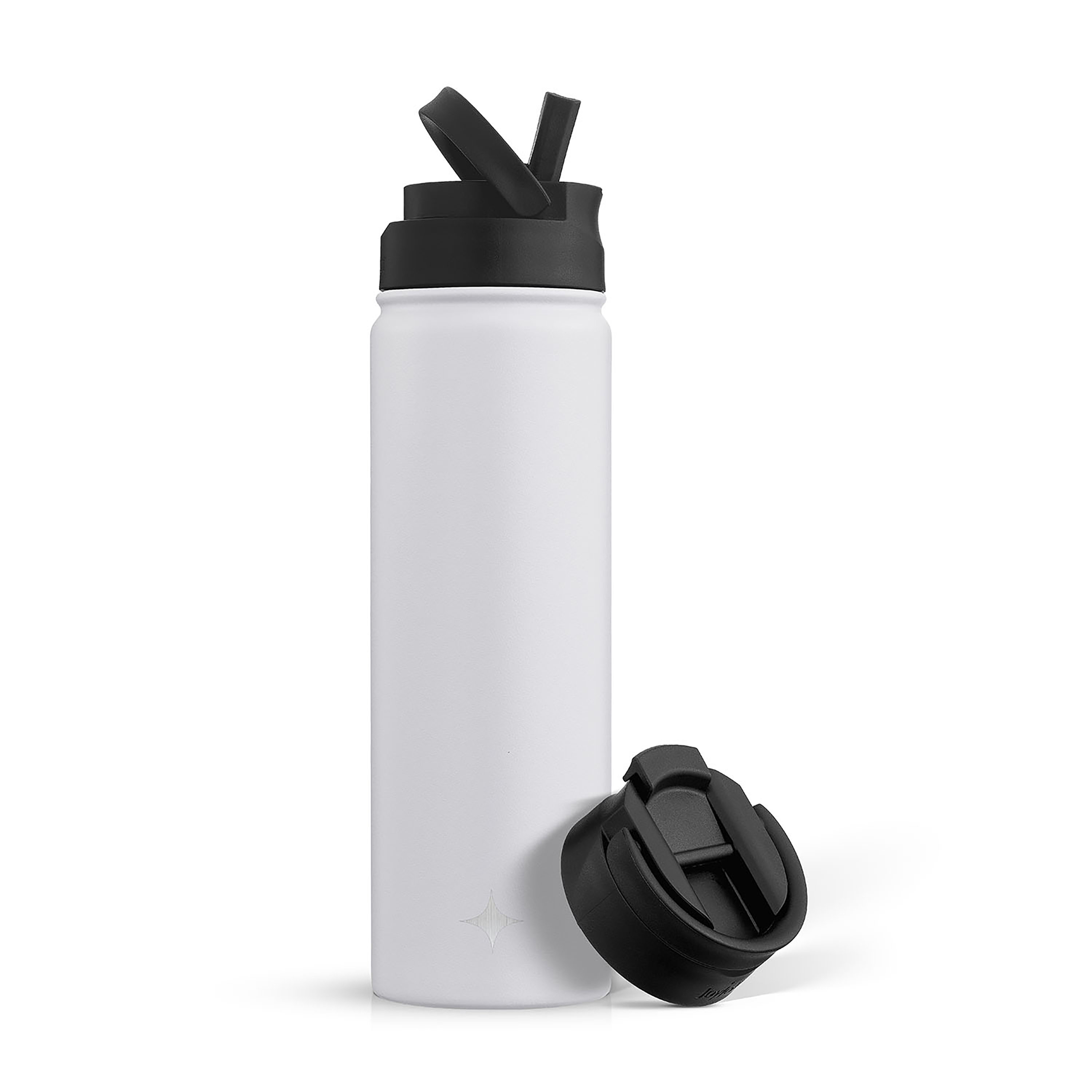 https://assets.wfcdn.com/im/98147755/compr-r85/2323/232317025/triple-insulated-water-bottle-with-flip-lid-sport-straw-lid.jpg