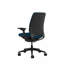Steelcase Amia Ergonomic Task Chair-323515498-323515491-334359719
