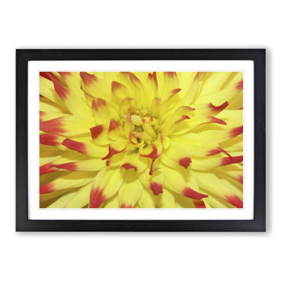 Single Picture Frame Print