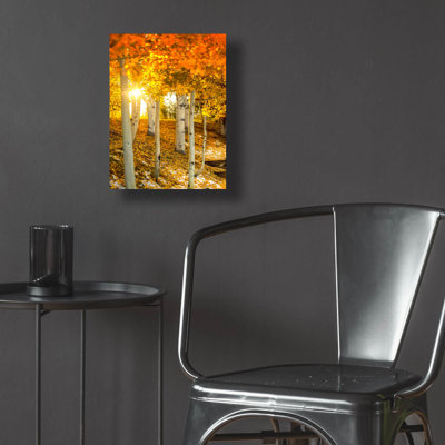 " Aspen Glow " by Jonathan Ross