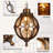 13'' Hardwired Outdoor Hanging Light