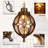 13 " Hardwired Outdoor Hanging Light