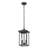 2 Light Adjustable Black Outdoor Hanging Lantern
