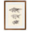 « un poisson rouge iv » par paul cezanne-cadre photo, reproduction d’art-946937856-946937859-946936395