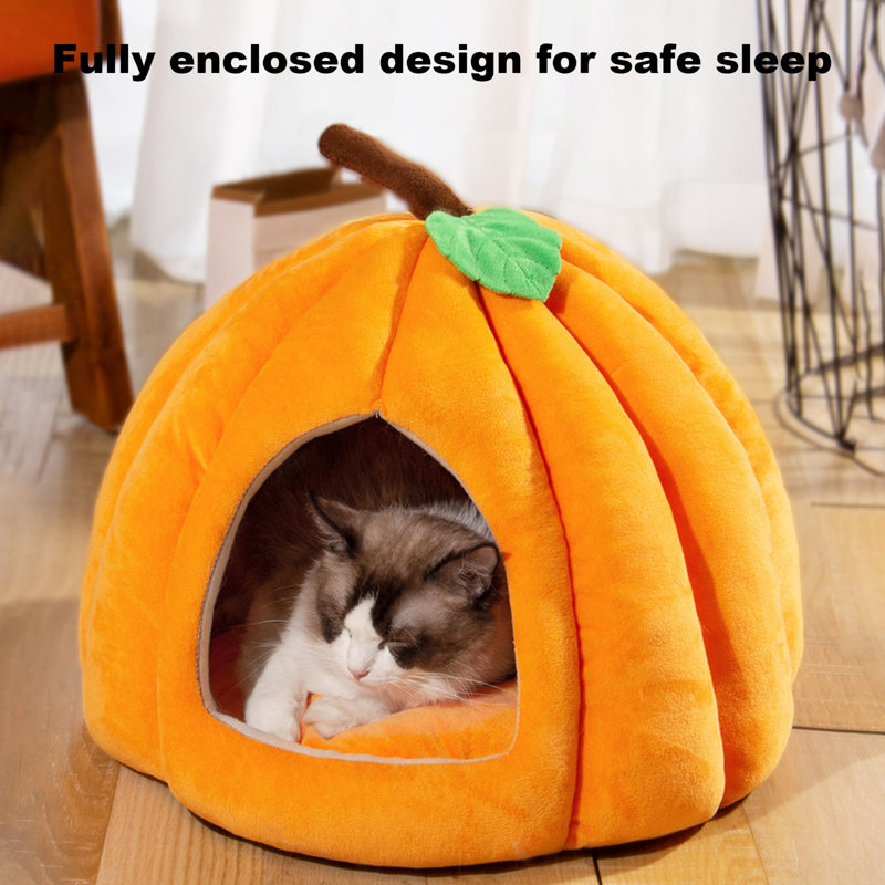 Maison pour chat semi-fermée pour chat