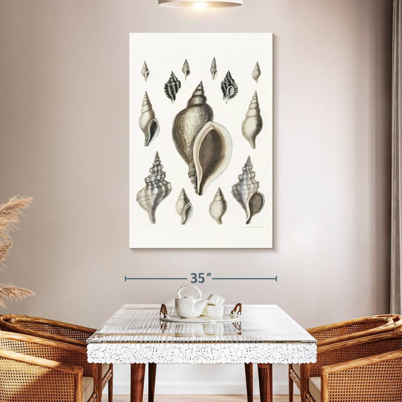 Aletra Vintage Shell II, 51" H x 34" W