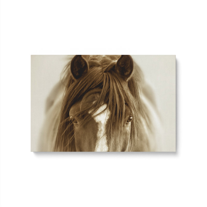 Kenara On Canvas, 24" H x 36" W x 1.25" D