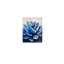 Agave bleue, art mural à cadre en bois à l'arrière, 30 L x 20 l