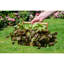 Natur Pur Solid Wood General Basket